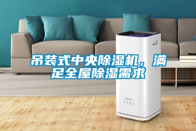 吊裝式中央除濕機，滿足全屋除濕需求