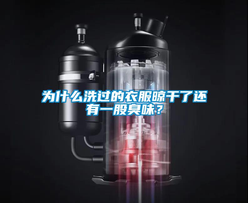 為什么洗過的衣服晾干了還有一股臭味？