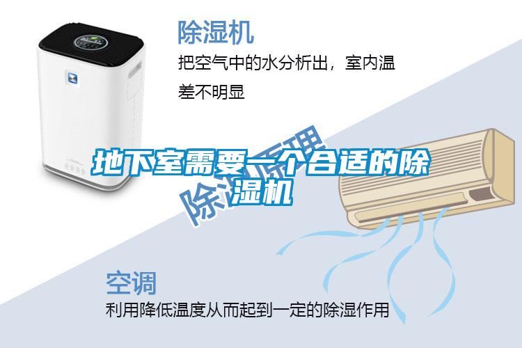 地下室需要一個合適的除濕機(jī)