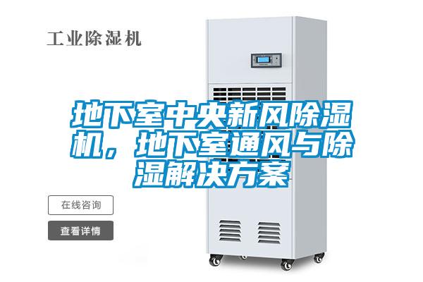地下室中央新風除濕機，地下室通風與除濕解決方案
