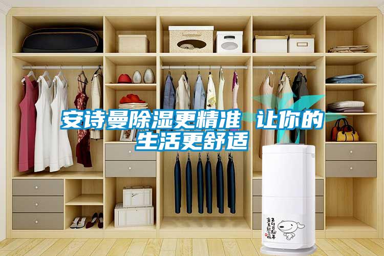 安詩(shī)曼除濕更精準(zhǔn) 讓你的生活更舒適