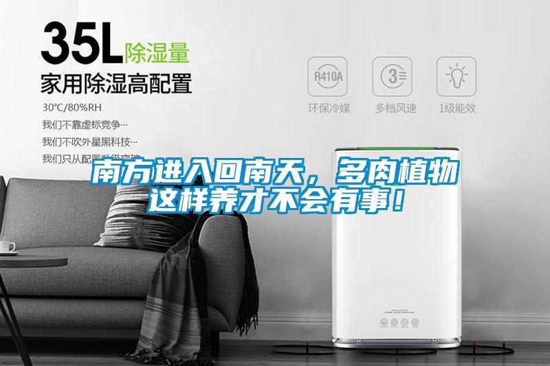 南方進(jìn)入回南天，多肉植物這樣養(yǎng)才不會有事！