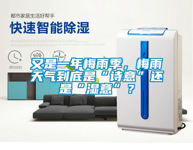 又是一年梅雨季，梅雨天氣到底是“詩意”還是“濕意”？