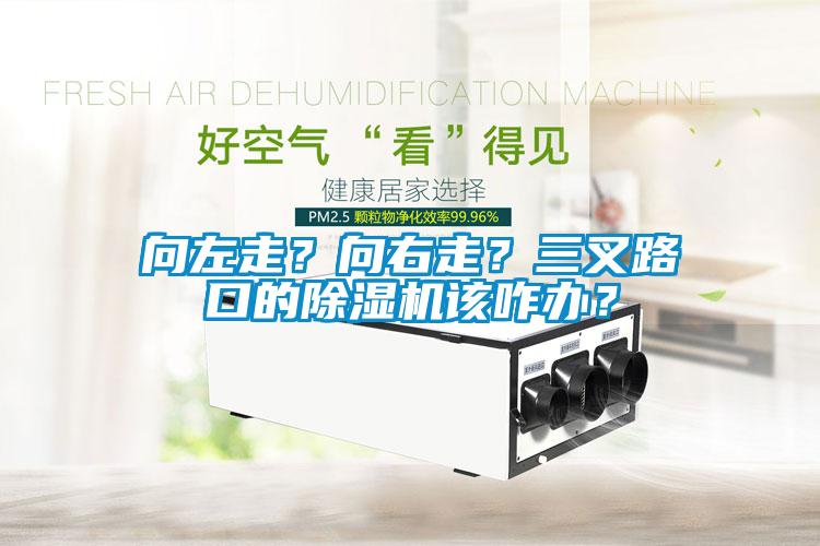 向左走？向右走？三叉路口的除濕機該咋辦？