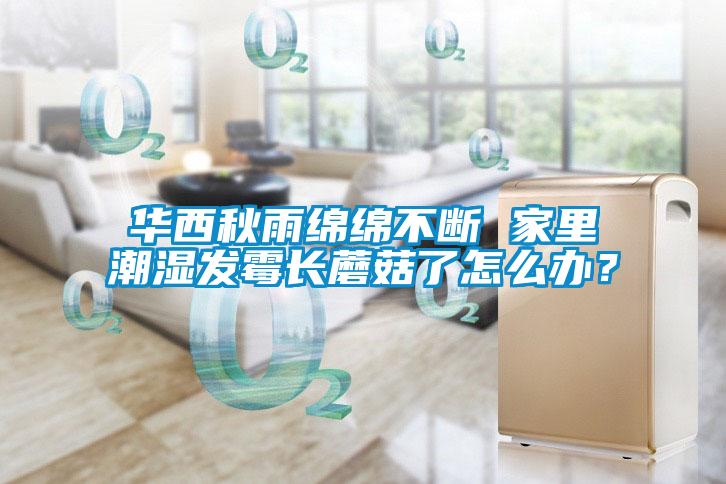 華西秋雨綿綿不斷 家里潮濕發霉長蘑菇了怎么辦？