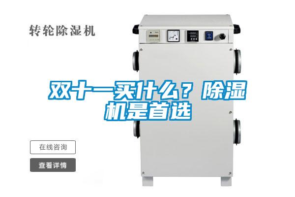 雙十一買什么？除濕機(jī)是首選