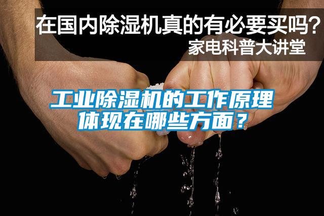 工業(yè)除濕機的工作原理體現(xiàn)在哪些方面？