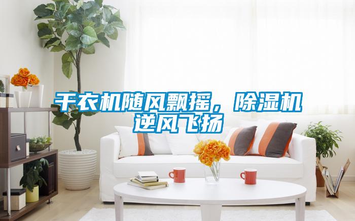 干衣機隨風(fēng)飄搖，除濕機逆風(fēng)飛揚