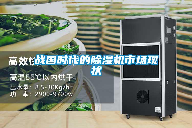戰(zhàn)國時代的除濕機市場現狀
