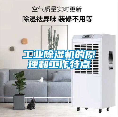 工業(yè)除濕機的原理和工作特點