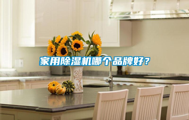 家用除濕機(jī)哪個(gè)品牌好？
