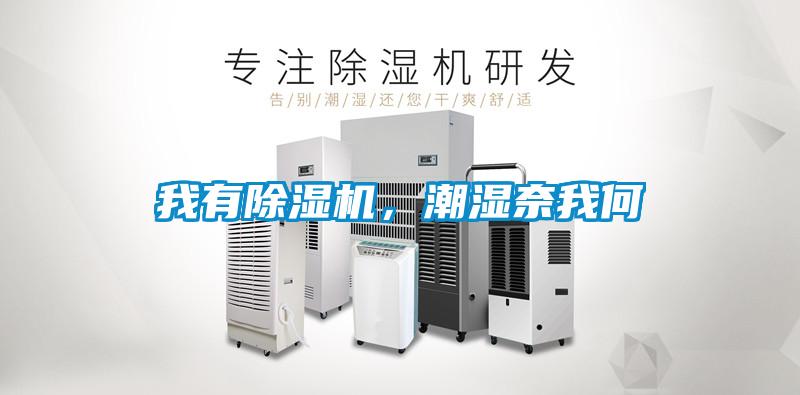 我有除濕機，潮濕奈我何