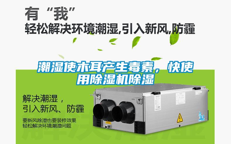潮濕使木耳產(chǎn)生毒素，快使用除濕機(jī)除濕