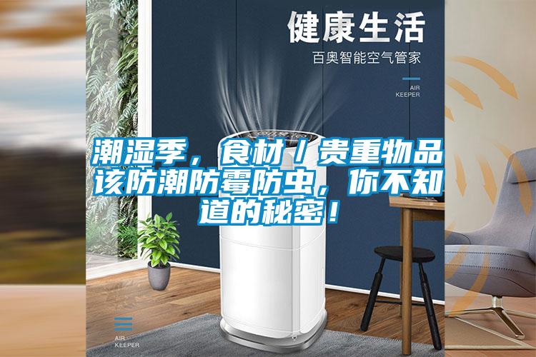 潮濕季，食材／貴重物品該防潮防霉防蟲，你不知道的秘密！