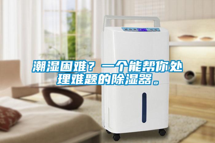 潮濕困難？一個能幫你處理難題的除濕器。