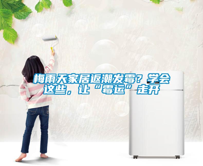 梅雨天家居返潮發霉？學會這些，讓“霉運”走開