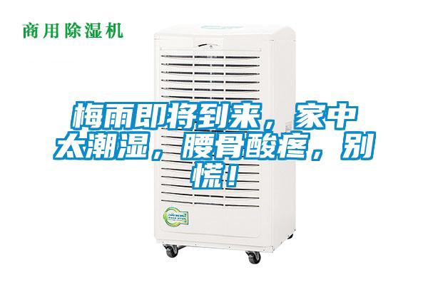 梅雨即將到來，家中太潮濕，腰骨酸疼，別慌！