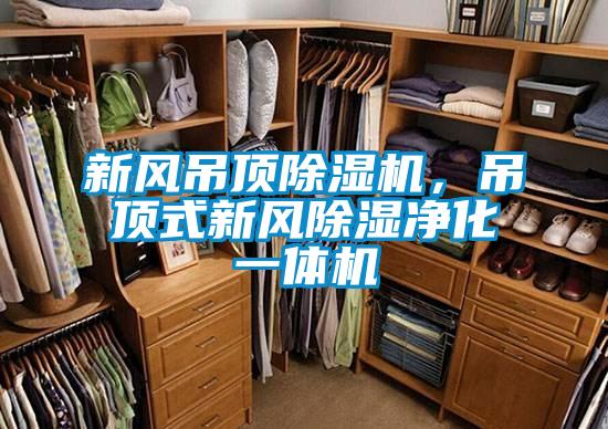 新風(fēng)吊頂除濕機(jī)，吊頂式新風(fēng)除濕凈化一體機(jī)