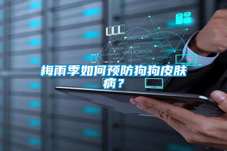 梅雨季如何預防狗狗皮膚病？