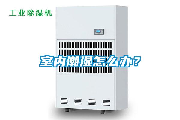 室內潮濕怎么辦？