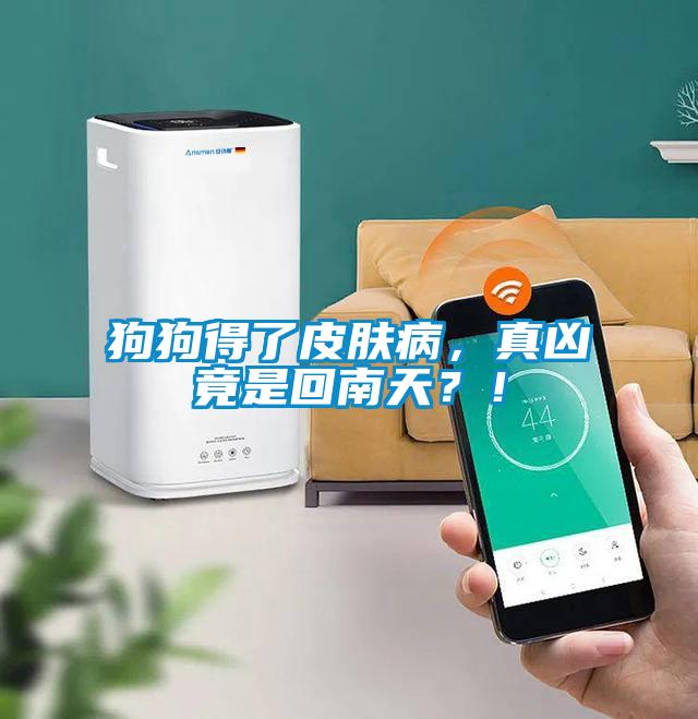 狗狗得了皮膚病，真兇竟是回南天？！