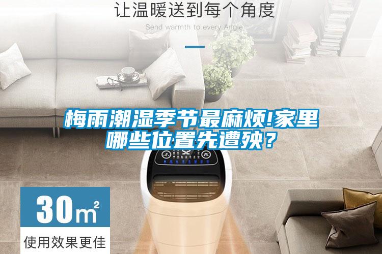梅雨潮濕季節(jié)最麻煩!家里哪些位置先遭殃？