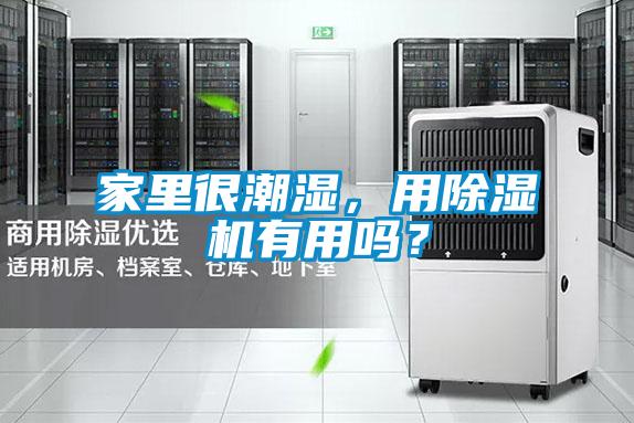 家里很潮濕，用除濕機有用嗎？