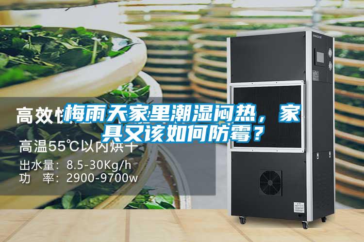梅雨天家里潮濕悶熱，家具又該如何防霉？