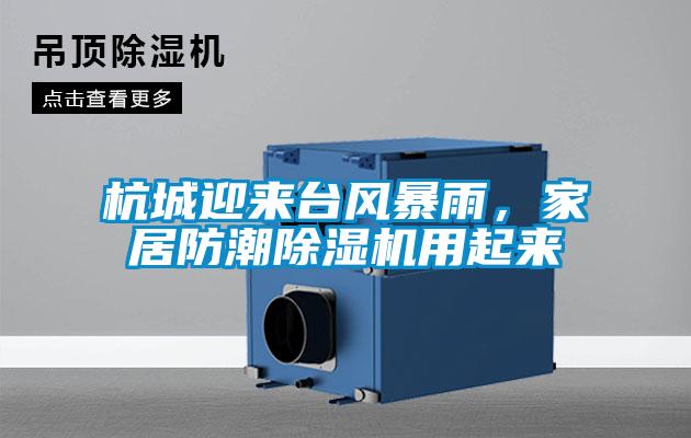 杭城迎來(lái)臺(tái)風(fēng)暴雨,家居防潮除濕機(jī)用起來(lái)