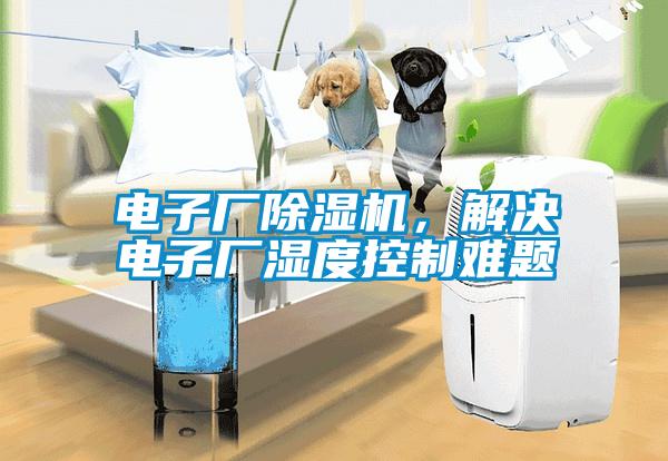 電子廠除濕機(jī)，解決電子廠濕度控制難題