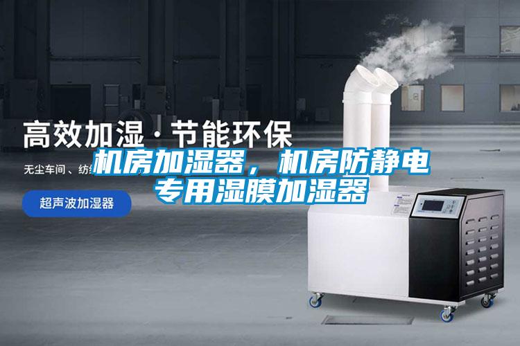 機(jī)房加濕器，機(jī)房防靜電專用濕膜加濕器