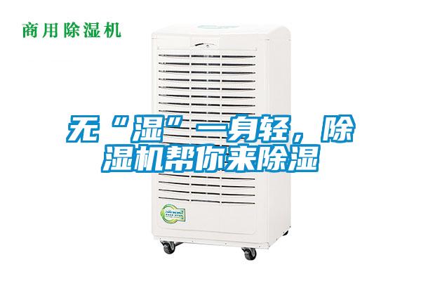 無“濕”一身輕，除濕機幫你來除濕