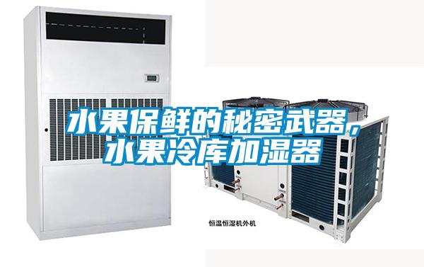 水果保鮮的秘密武器，水果冷庫加濕器