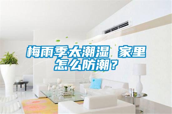 梅雨季太潮濕 家里怎么防潮？