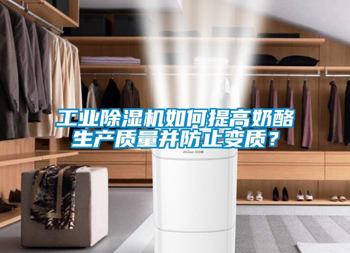 工業除濕機如何提高奶酪生產質量并防止變質？