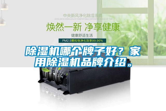 除濕機哪個牌子好？家用除濕機品牌介紹。