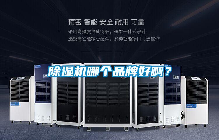 除濕機哪個品牌好??？