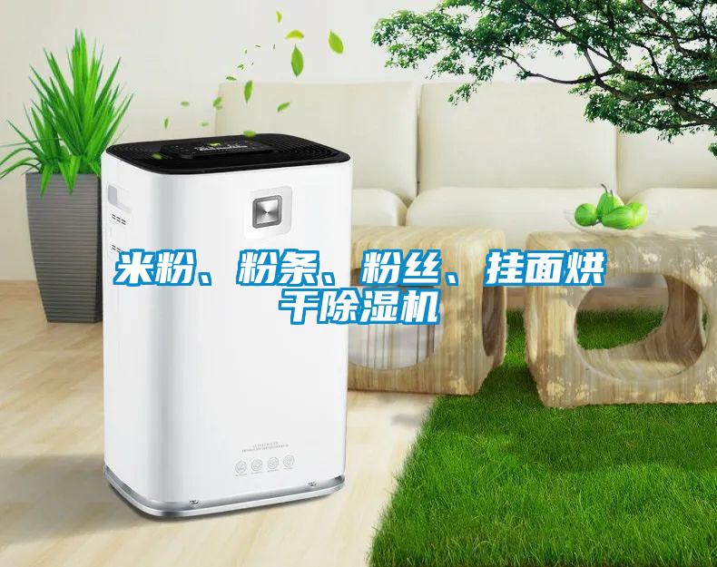 米粉、粉條、粉絲、掛面烘干除濕機