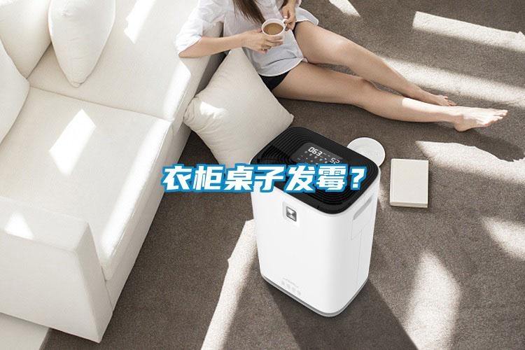 衣柜桌子發霉？