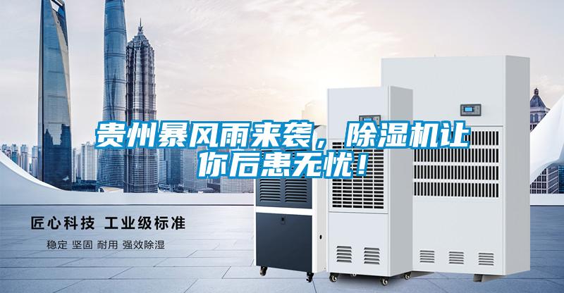 貴州暴風雨來襲，除濕機讓你后患無憂！