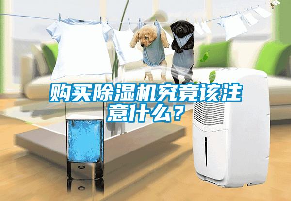 購(gòu)買除濕機(jī)究竟該注意什么？