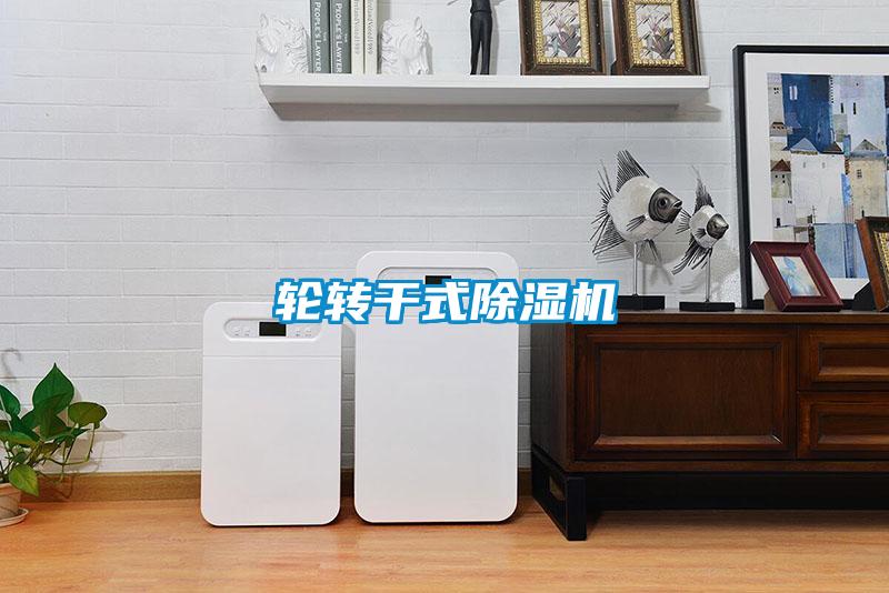 輪轉(zhuǎn)干式除濕機