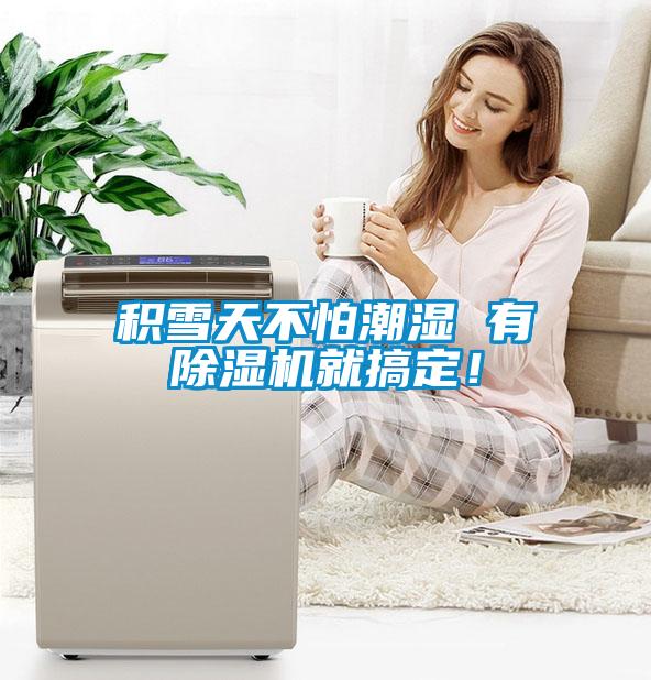 積雪天不怕潮濕 有除濕機(jī)就搞定！