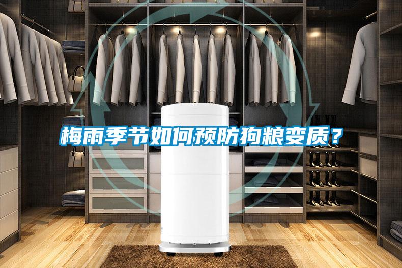 梅雨季節(jié)如何預防狗糧變質？