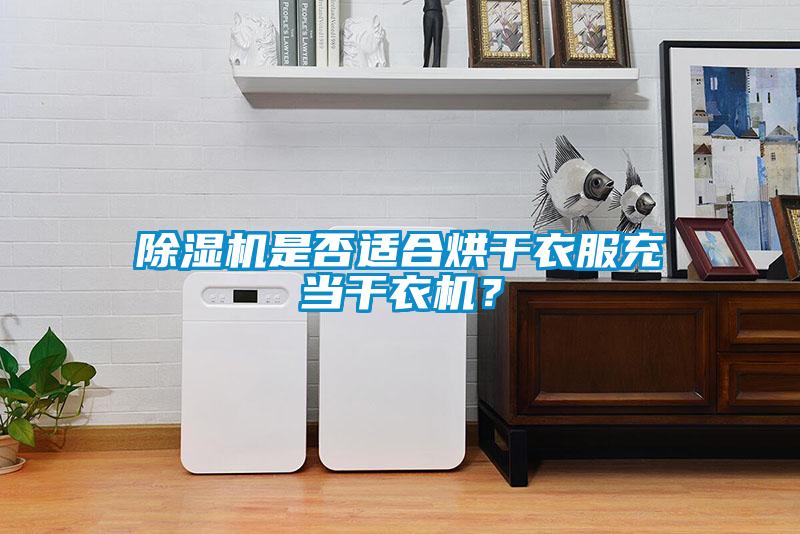 除濕機(jī)是否適合烘干衣服充當(dāng)干衣機(jī)？