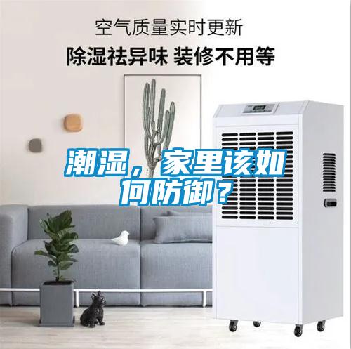潮濕，家里該如何防御？