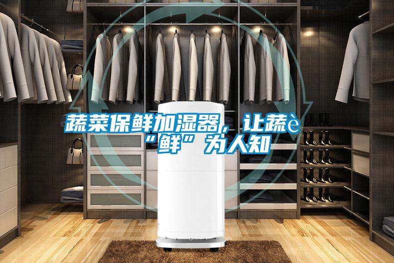 蔬菜保鮮加濕器，讓蔬菜“鮮”為人知