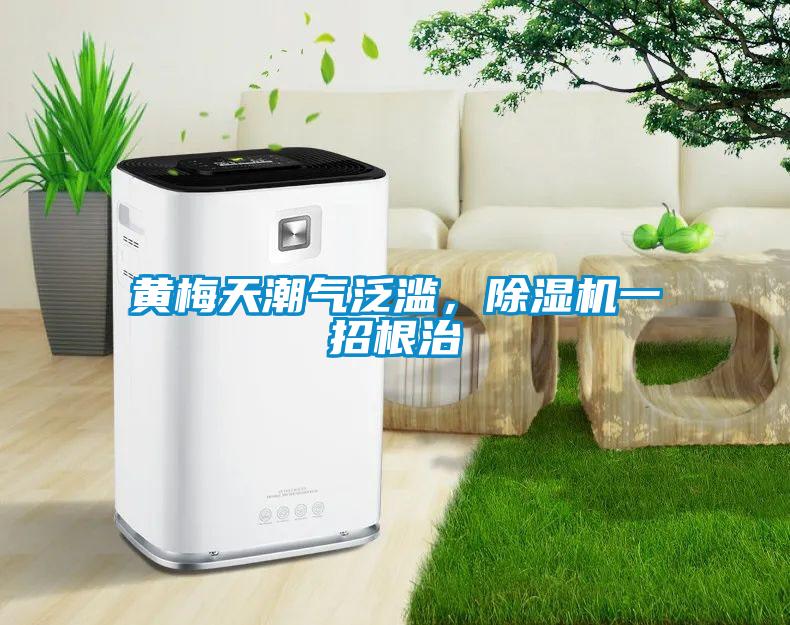 黃梅天潮氣泛濫，除濕機(jī)一招根治