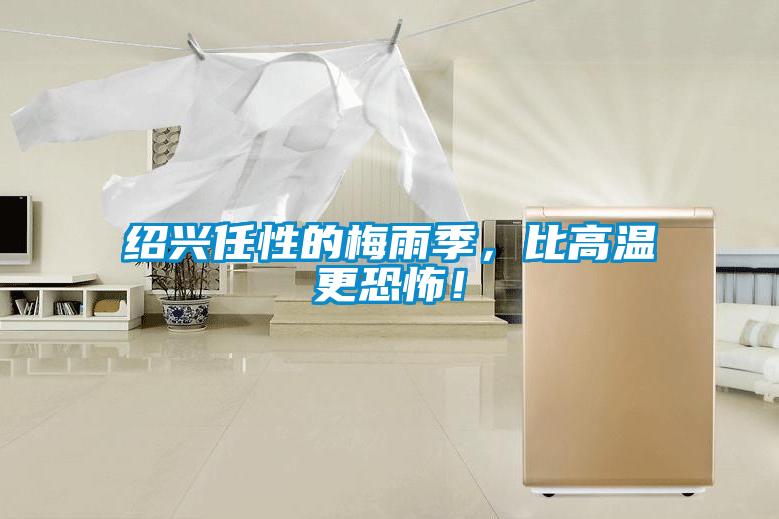 紹興任性的梅雨季，比高溫更恐怖！