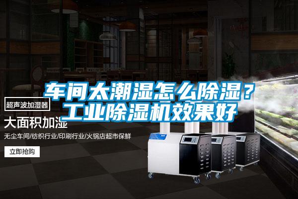 車間太潮濕怎么除濕？工業(yè)除濕機效果好